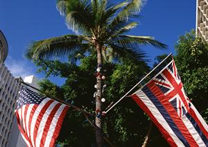 静岡県伊豆高原の絶景を堪能できる赤沢日帰り温泉館の魅力と特徴