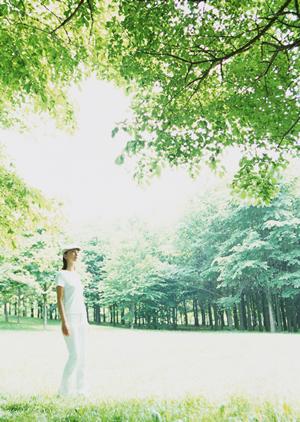 静岡の高級洋食レストラン「テラスレストラン」：贅沢な空間と旬の食材を楽しむ特別なひととき